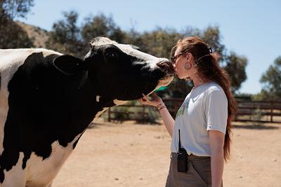 Once Abused and Left Behind, Omi’s Now Loved By So Many Friends