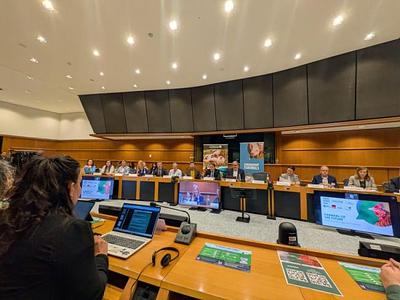Cage-free future is economically viable, farmers and experts report