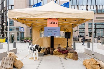 Farmers gather in Brussels to demand an End to the Cage Age