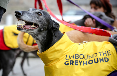 Historic moment as Scotland outlaws greyhound racing