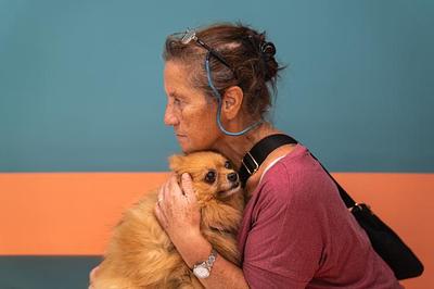Call for lower taxes on veterinary care and pet food in Italy