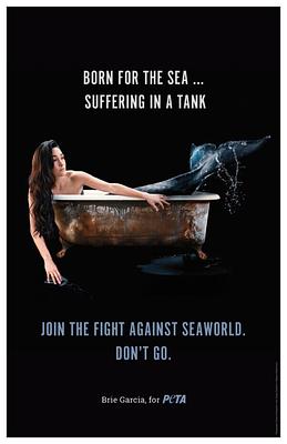 Pro Wrestler Brie Garcia Slams SeaWorld in New Campaign for PETA