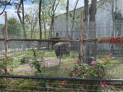 PETA Complaint Exposes Shocking Conditions at Houston Interactive Aquarium