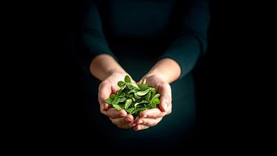 Study Finds Leaf Protein Biorefineries Could Meet Global Protein Needs Within Two Years in a Food Crisis