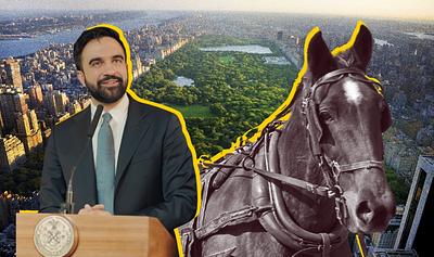 A Central Park Horse Just Collapsed and Died. Mayor Mamdani Says Its Time for a Ban.