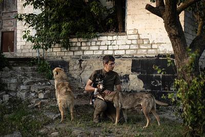 I Didn’t Care Much for Dogs. Now I’m Risking My Life to Save Them.