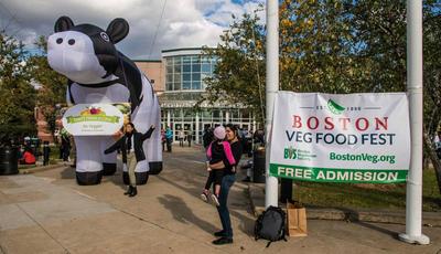 Boston Veg Food Fest