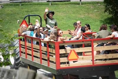 Hoedown: 40 Years