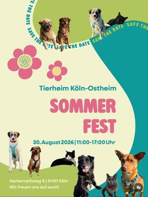 Tierheim Köln-Ostheim SOMMER FEST
