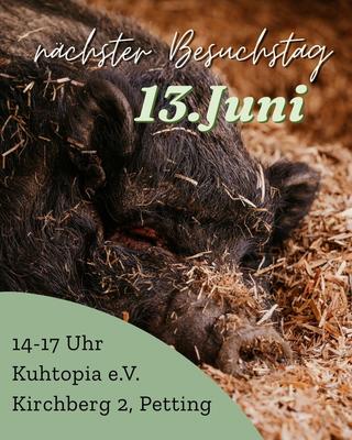 Besuchstage 2026