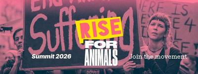 Rise for Animals Summit