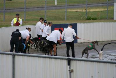 Last Laps at Manukau - End of Greyhound Racing Vigil