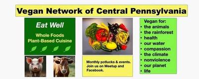 Vegan potluck lunch and discussion