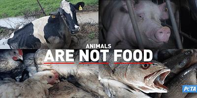 PETA Warns US Meat Companies to Learn from Mistakes of Tobacco Farmers and “Get Out Now!”
