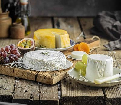Those Vegan Cowboys to Enter US Market with Microbial Casein That Outperforms Dairy