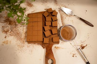 CPI Signs On to €6.3M EU Cocoa Project Growing Cacao Cells in Bioreactors