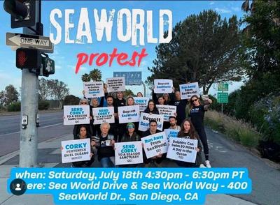 SeaWorld Protest