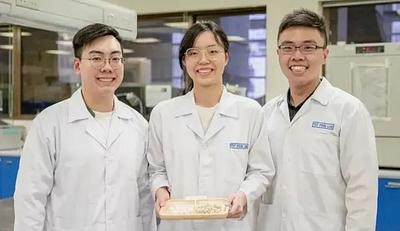Singapore Puts $5.3M Behind Food Waste Upcycling Projects