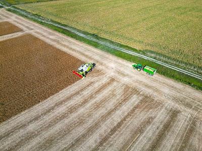EU Protein Plan Locks In Feed Target, Leaves Food Protein Measures Voluntary