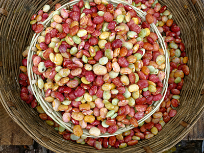 EU Protein Plan does not look at the bigger picture on food systems
