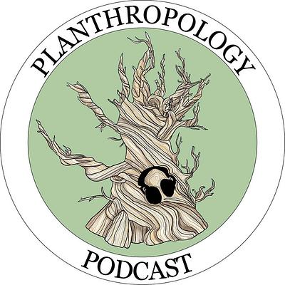 127. 40 by 40, the Future, and Some Good News