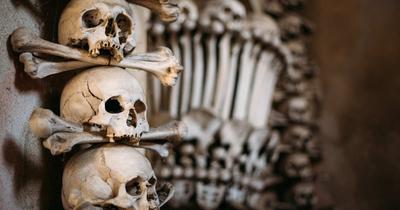 Everyone assumed the earliest plague strains were mild precursors to the Black Death — ancient DNA from Siberian children's graves just rewrote 5,500 years of disease history