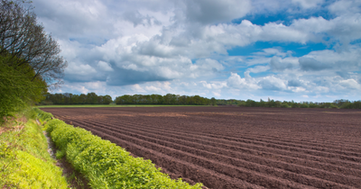 Georgia is about to lose 800,000 acres of farmland by 2040 and the state's answer is a $2 million fund — the math isn't the point, the infrastructure being quietly built underneath it is