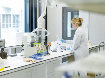 Raisio Expands Finnish Oat Facility to Fuel Plant-Based Dairy Production & Global Growth