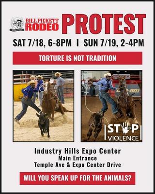 BILL PICKETT RODEO PROTEST
