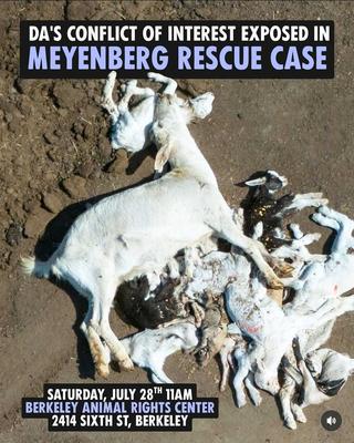 DA'S CONFLICT OF INTEREST EXPOSED IN MEYENBERG RESCUE CASE