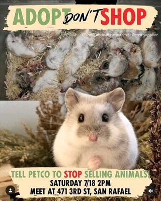 TELL PETCO TO STOP SELLING ANIMALS!