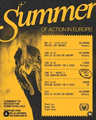 Weekend Against Fur & Cages