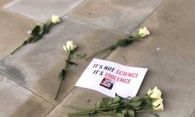 It's not science it's violence