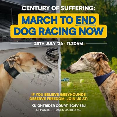 March to End Dog Racing Now