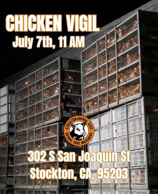 CHICKEN VIGIL