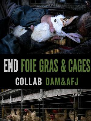 END FOIE GRAS & CAGES - HANOS & MARRIOTT DEMOS