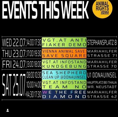 VIENNA ANIMAL SAVE: SAVE SQUARE