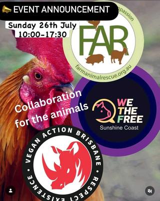 Collaboration for the Animals