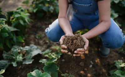 FAIRR Reports Widening ‘Credibility Gap’ In Regenerative Agriculture Roll-Out
