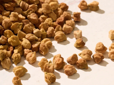 ‘Not Your Average Chickpea’: NuCicer Unveils Higher-Protein Version of Beloved Bean