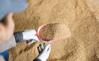 EU Protein Plan Targets More Plant-Based Options To Feed Farm Animals