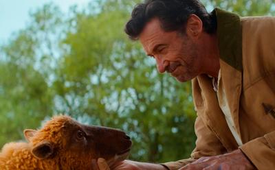 ‘The Sheep Detectives’: New Hugh Jackman Film Has An Animal Rights Message