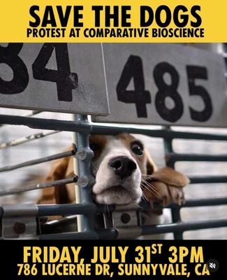 SAVE THE DOGS PROTEST AT COMPARATIVE BIOSCIENCE