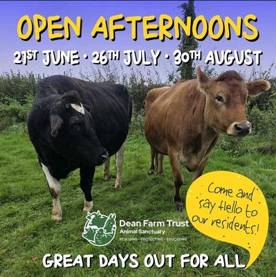 Open Days at Dean Farm Trust Animal Sanctuary