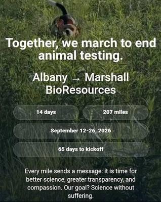 March to Abolish Animal Testing