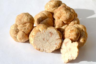 MycoTechnology Partners With China’s Adorvia to Blend Honey Truffle Sweet Protein With Stevia