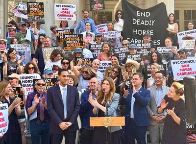 Major Step Forward for Horses: Horse-Drawn Carriage Ban Surges Forward in New York City