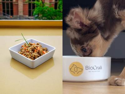 BioCraft Makes the Case for Voluntary Safety Disclosure in Cultivated Pet Food