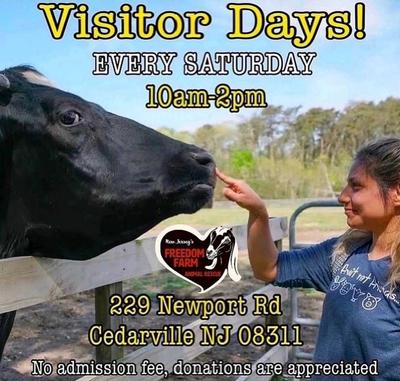 Volunteer Days! at Freedom Farm Animal Rescue
