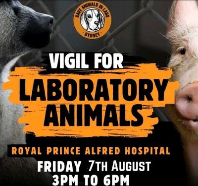 VIGIL FOR LABORATORY ANIMALS
